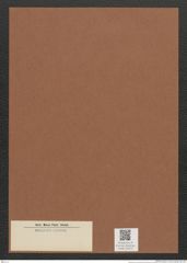 Diatomeae indet. Zeichnungen Sammlung Grunow Mappe 03470 (Herbarium_W_Grunow_drawings_Folder_03470)